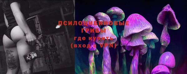 прущие крисы Надым