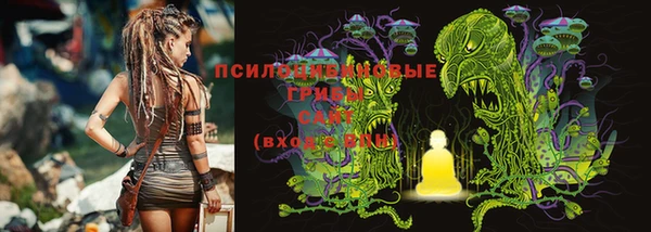 шишки Навашино